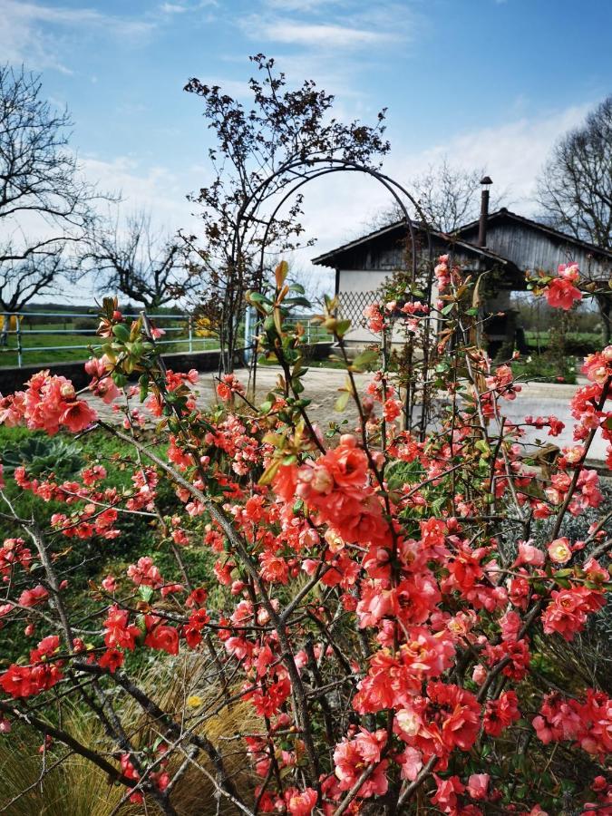 Domaine De L'Esperance, Chambre Rose Bed & Breakfast Bersaillin Exterior photo